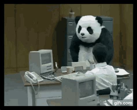 panda gif|panda destroying office gif.